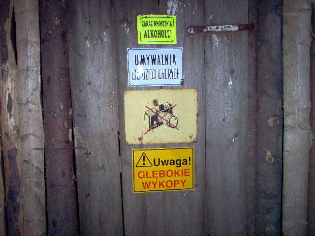 Photograph