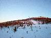 Photo Number 104